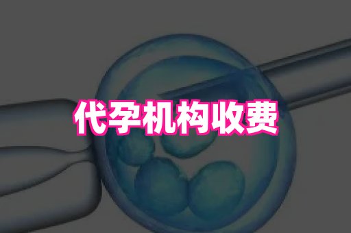 安徽助孕网 2