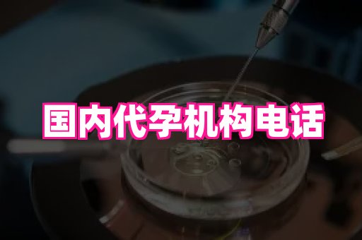 安徽助孕网 3
